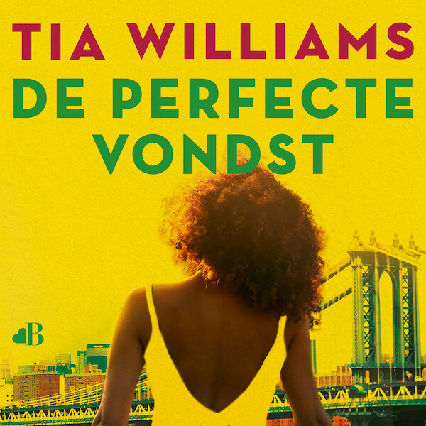 De perfecte vondst - Tia Williams (ISBN 9789021477657)