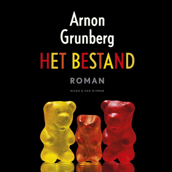 Het bestand - Arnon Grunberg (ISBN 9789038813158)