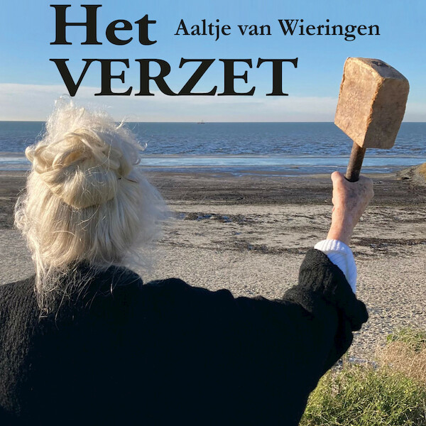 Het verzet - Aaltje van Wieringen (ISBN 9789464498509)