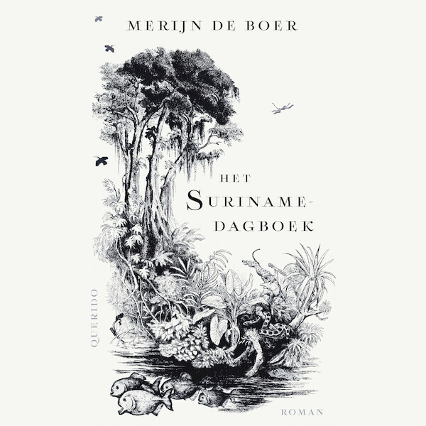 Het Surinamedagboek - Merijn de Boer (ISBN 9789021486390)