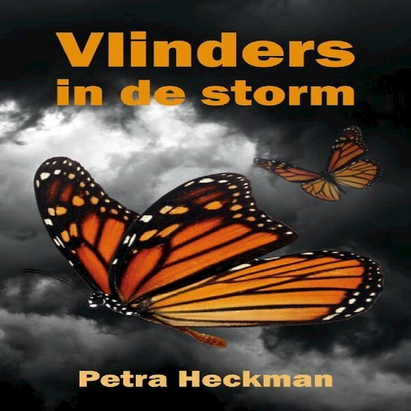 Vlinders in de storm - Petra Heckman (ISBN 9789464499247)