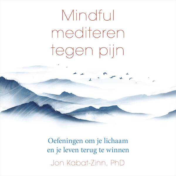 Mindful mediteren tegen pijn - Jon Kabat-Zinn (ISBN 9789000392070)