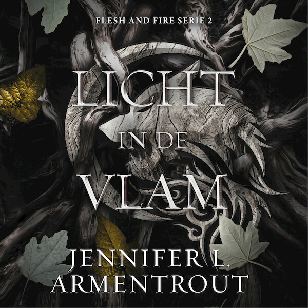 Licht in de vlam (deel 2) - Jennifer L. Armentrout (ISBN 9789020555127)