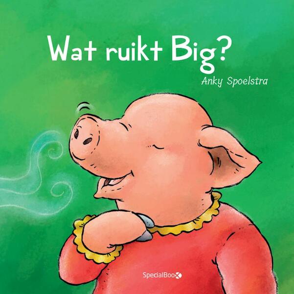 Wat ruikt Big? - Anky Spoelstra (ISBN 9789492482747)