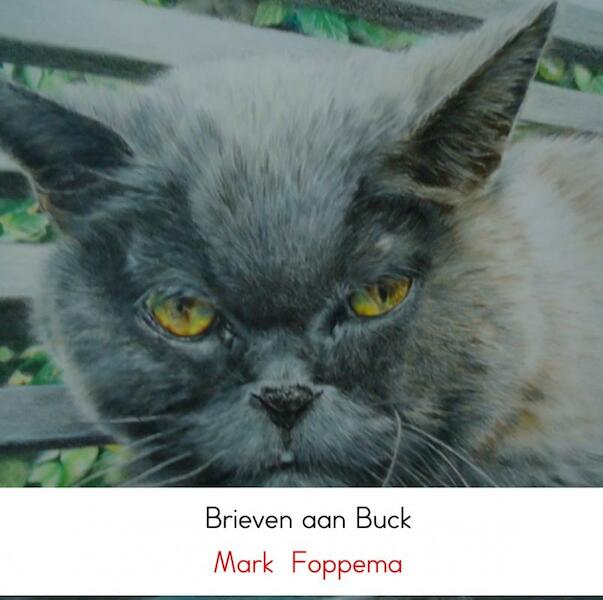 Brieven aan Buck - Mark Foppema (ISBN 9789402154566)