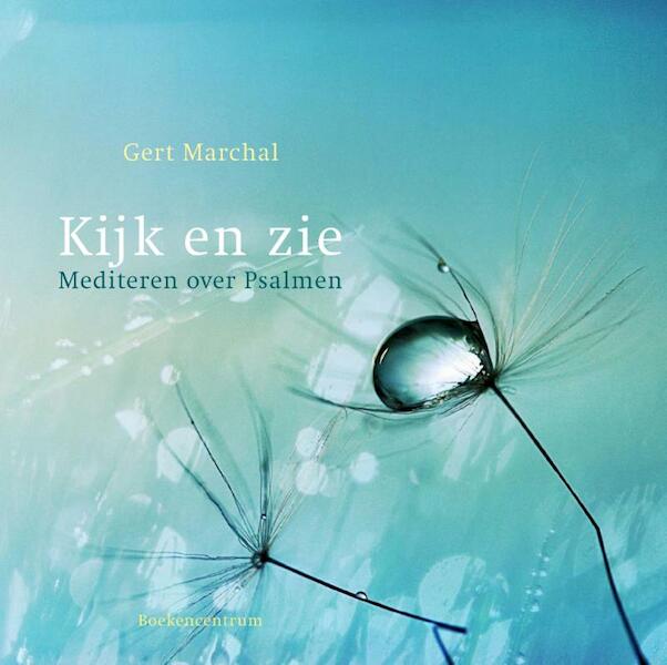 Kijk en zie - Gert Marchal (ISBN 9789023928997)