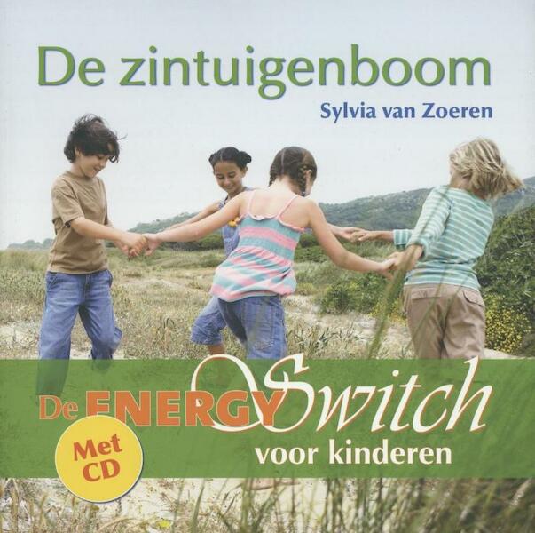 De energyswitch Voor kinderen - Sylvia van Zoeren (ISBN 9789020638097)