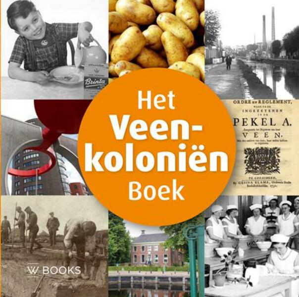 Het Veenkolonien boek - Martin Hillinga (ISBN 9789040007651)