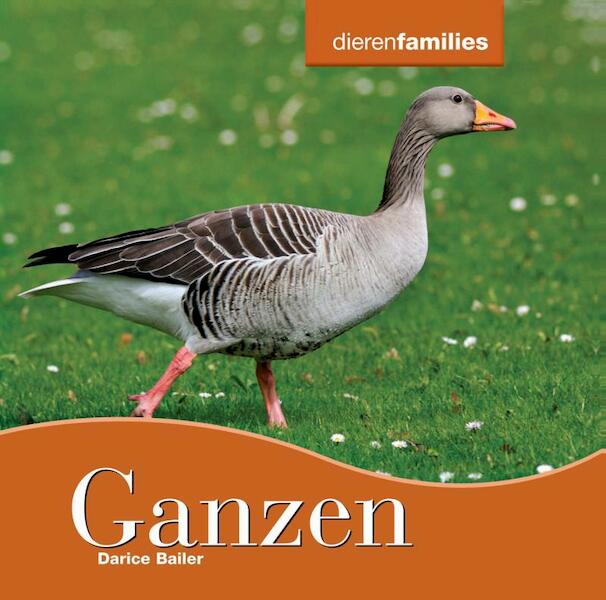 Ganzen. Dierenfamilies - Darice Bailer (ISBN 9789055664610)