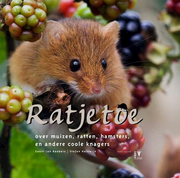 Ratjetoe - Geert-Jan Roebers, Stefan Halewijn (ISBN 9789050113717)