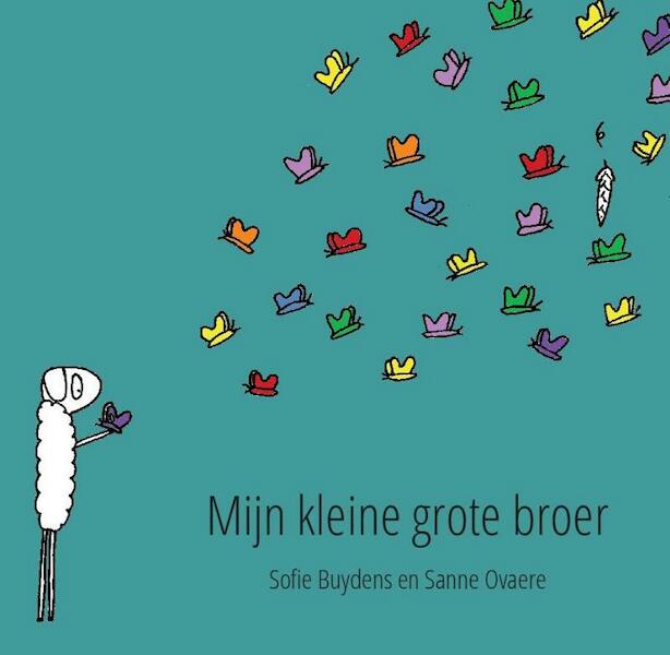 Mijn kleine grote broer - Sanne Ovaere (ISBN 9789082327960)