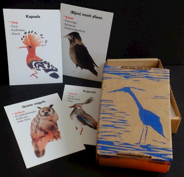 Vogelkwartet - Corline van Es (ISBN 9789462662353)
