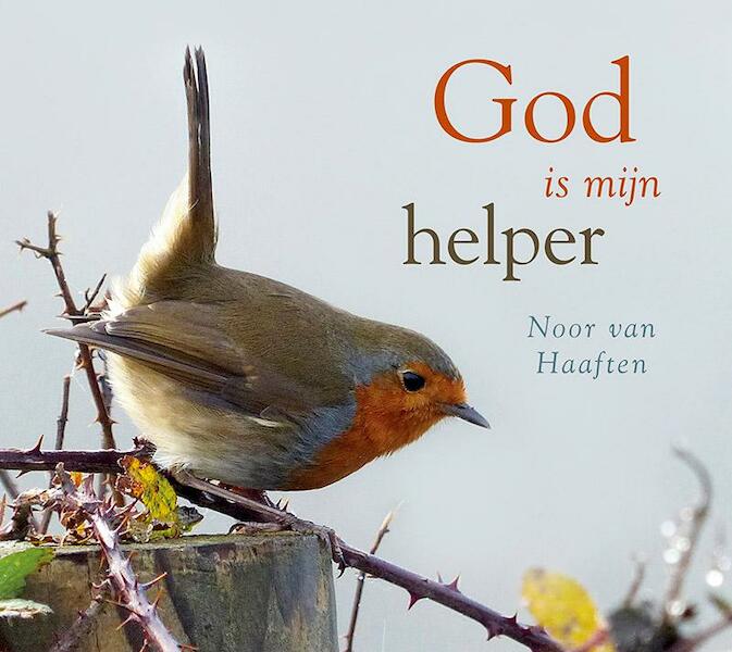 God is mijn helper - Noor van Haaften (ISBN 9789029724623)