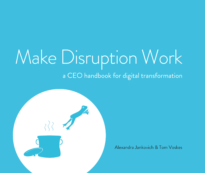 Make Disruption Work - Alexandra Jankovich, Tom Voskes (ISBN 9789082838213)