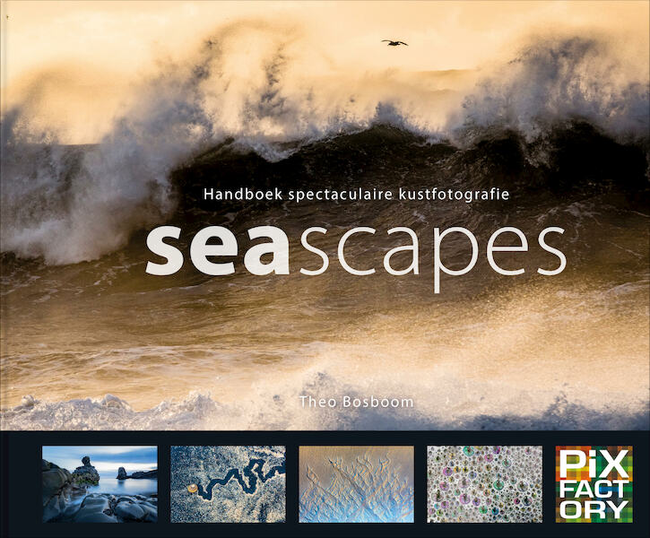 Seascapes - Theo Bosboom (ISBN 9789079588350)