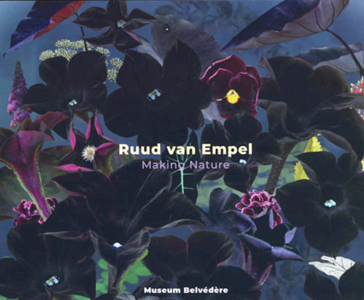 Ruud van Empel - Han Steenbruggen, Ruud Schenk (ISBN 9789071139352)