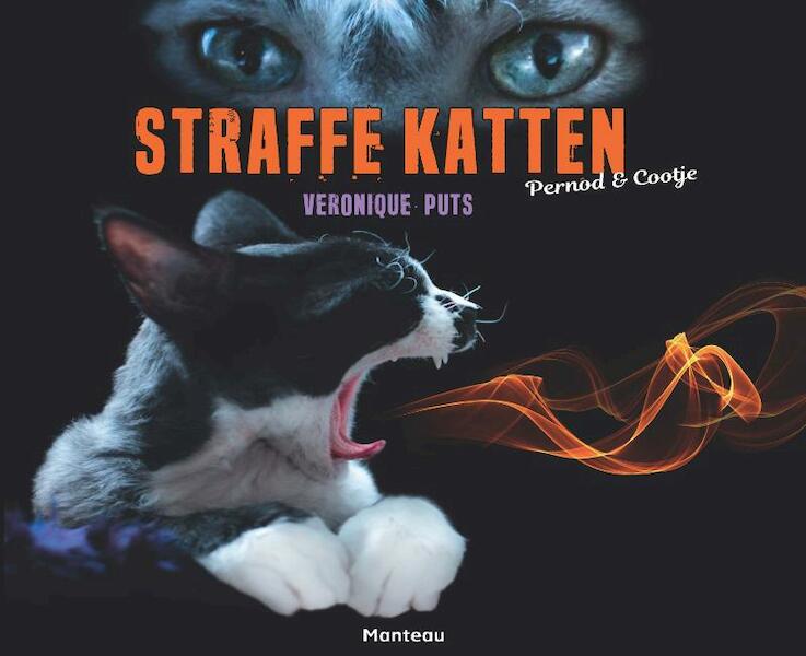 Straffe katten - Veronique Puts (ISBN 9789022333075)
