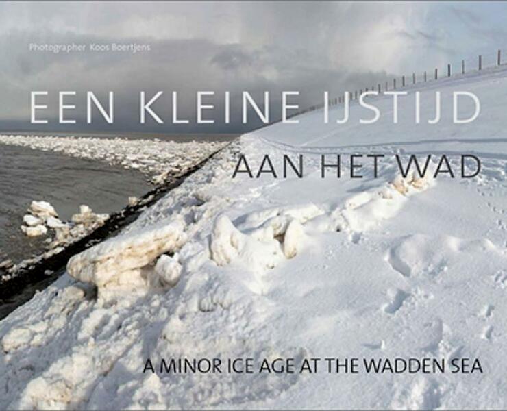 Een kleine ijstijd aan het wad - Koos Boertjens (ISBN 9789088960024)