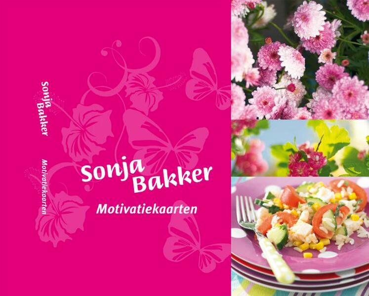 Motivatiekaarten - S. Bakker (ISBN 9789078211150)