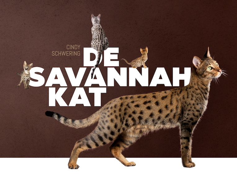 De Savannah kat - Cindy Schwering (ISBN 9789081133050)