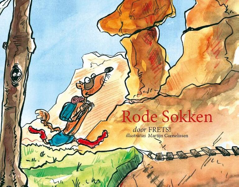 Rode sokken - Freerk Siemen Hospes, Johannes Hospes, Patrick de Vries (ISBN 9789491337710)