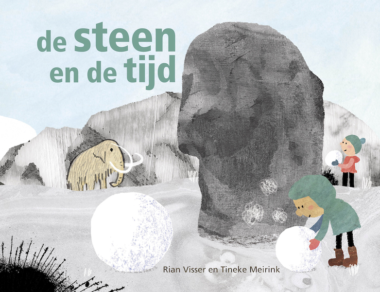 De steen en de tijd - Rian Visser (ISBN 9789491647260)