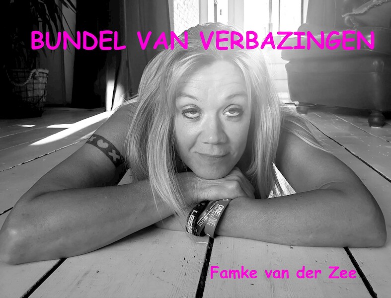 Bundel van verbazingen - Famke van der Zee (ISBN 9789462664517)