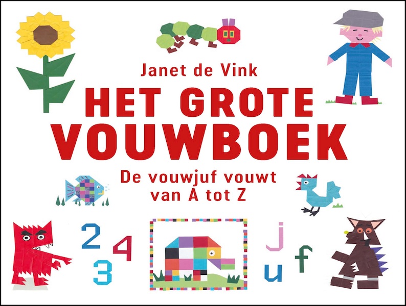 Het grote vouwboek - Janet de Vink (ISBN 9789043920070)