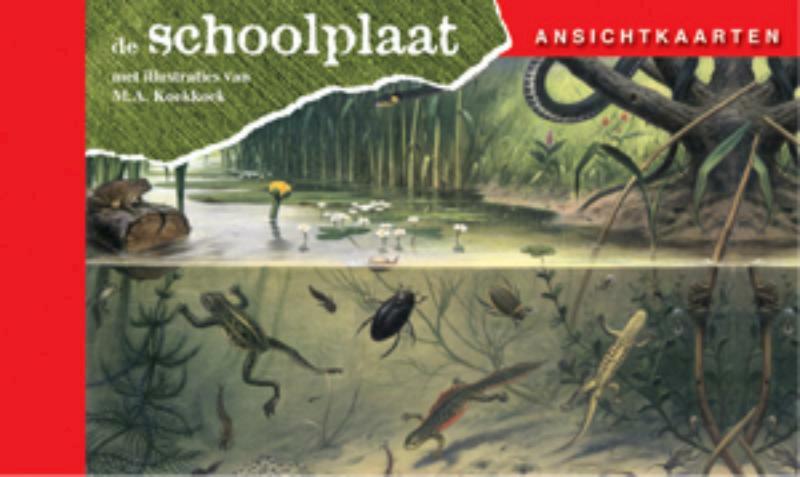 Ansichtkaarten, de Schoolplaat In Ons Land - (ISBN 9789079758203)
