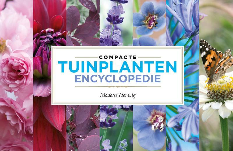 Compacte tuinplantenencyclopedie - Modeste Herwig (ISBN 9789021559117)