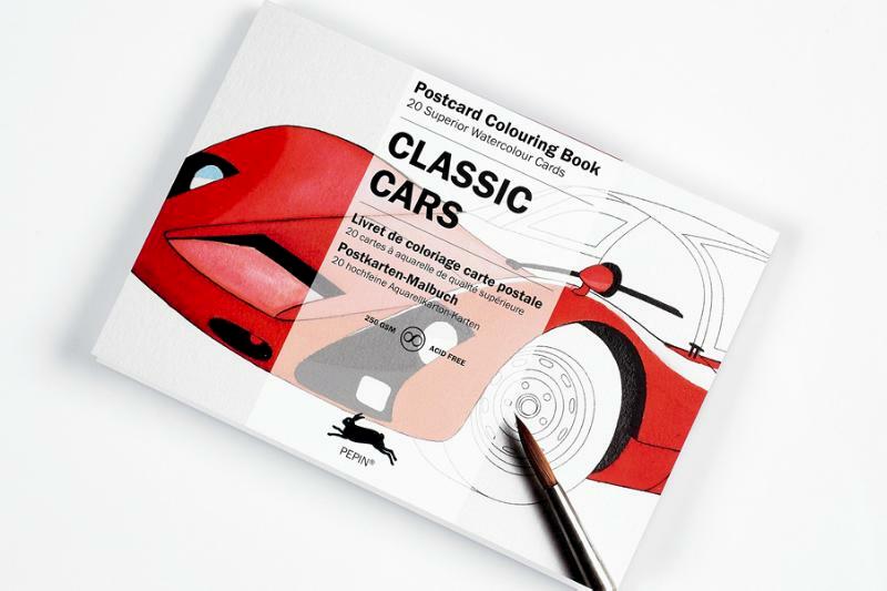 CLASSIC CARS - Pepin van Roojen (ISBN 9789460096020)
