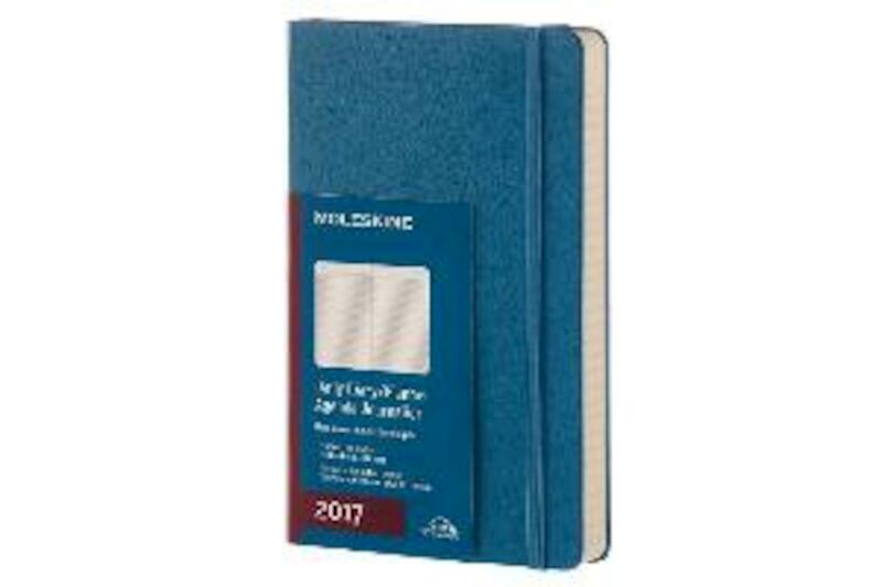 Moleskine 12 month planner - daily - large - steel blue - hard cover - (ISBN 8051272894035)