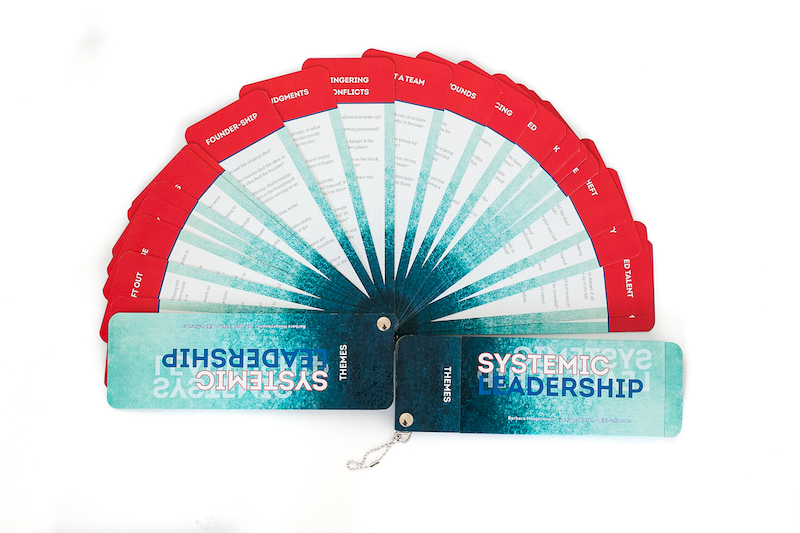 Systemic Leadership Fan - Jan Jacob Stam, Barbara Hoogenboom, Bibi Schreuder (ISBN 9789492331960)