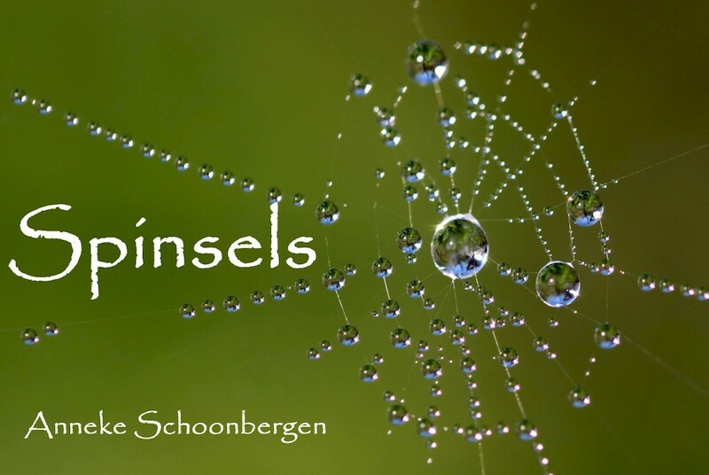 Spinsels - Anneke Schoonbergen (ISBN 9789492719058)