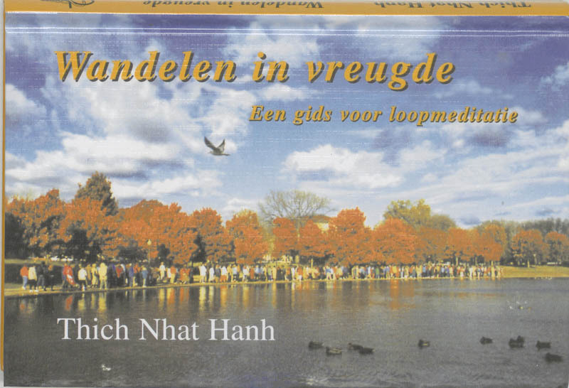 Wandelen in vreugde - Thich Nhat Hanh (ISBN 9789020276862)