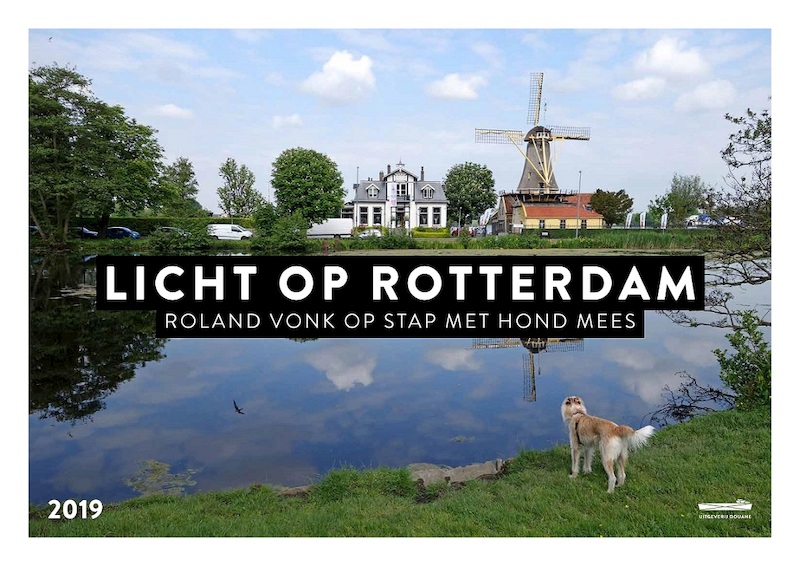 Licht op Rotterdam - (ISBN 9789493020023)