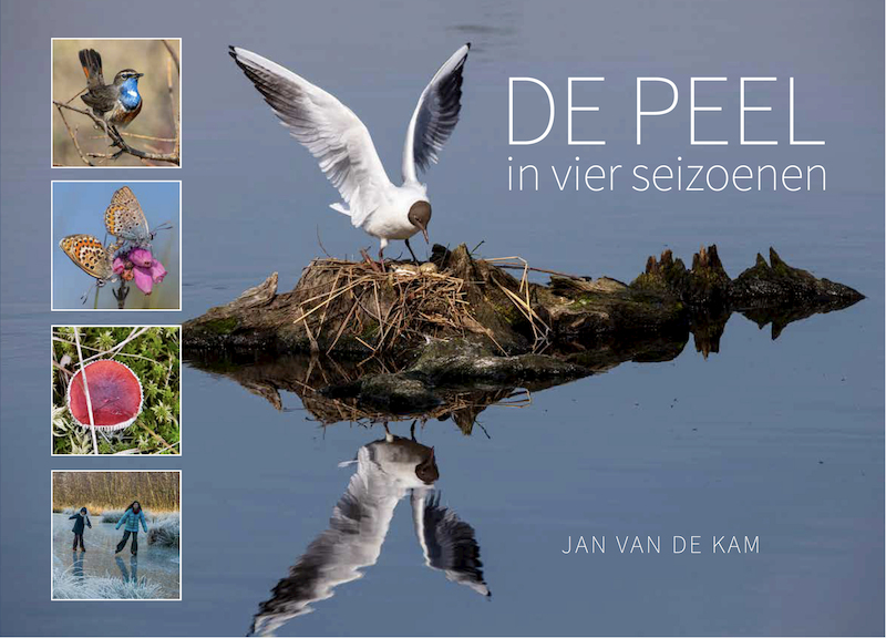 De Peel in vier seizoenen - Jan van de Kam (ISBN 9789090334653)
