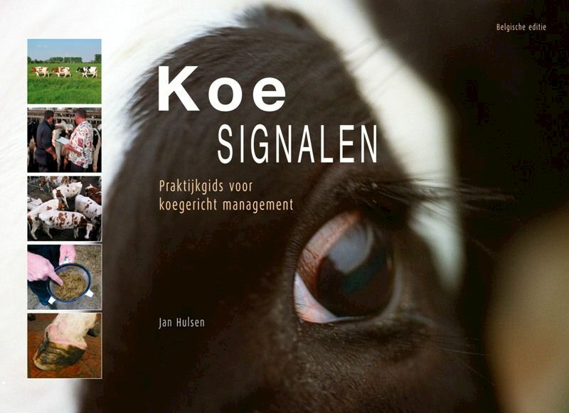 Koesignalen Belgische editie - Jan Hulsen (ISBN 9789075280616)