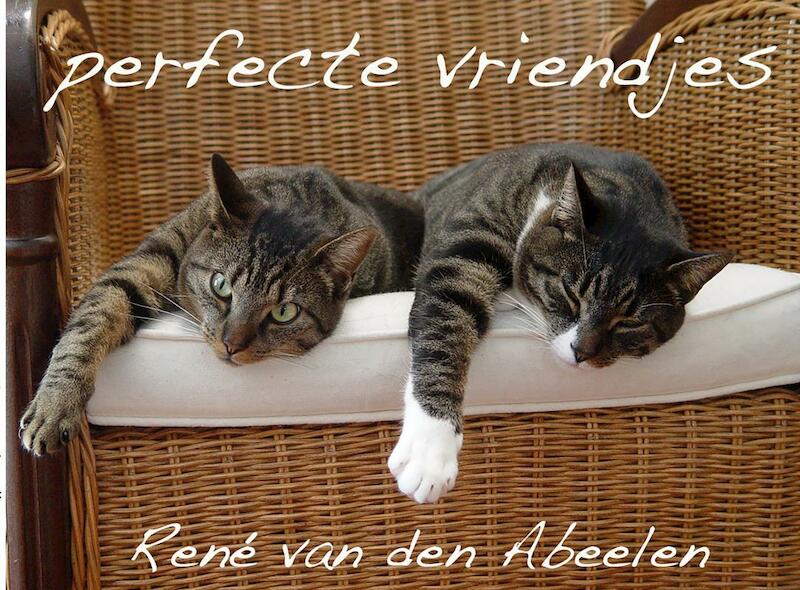 Perfecte vriendjes - René van den Abeelen (ISBN 9789402121117)
