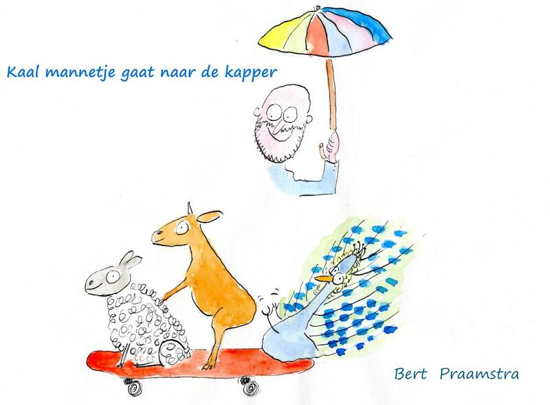Kaal mannetje gaat naar de kapper - Bert Praamstra (ISBN 9789402189506)