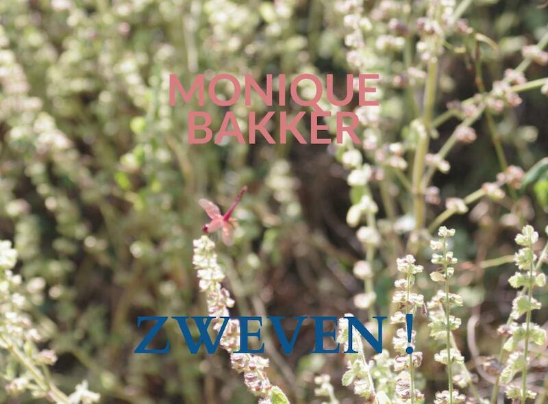 Zweven ! - Monique Bakker (ISBN 9789463988032)