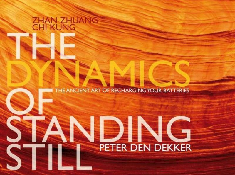 The dynamics of standing still - Peter den Dekker (ISBN 9789490580018)