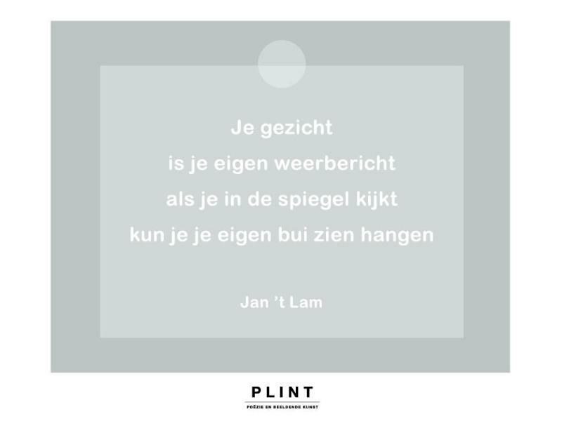 Plint Raamkaart 'Je Gezicht' Jan 't Lam set van 10 - Jan 't Lam (ISBN 9789059307933)