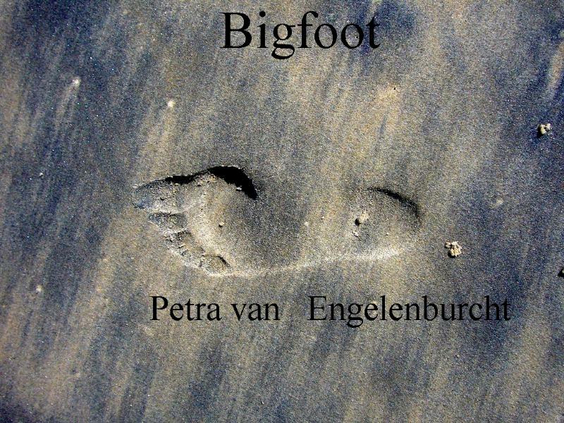 Bigfoot - Petra van Engelenburcht (ISBN 9789492719157)