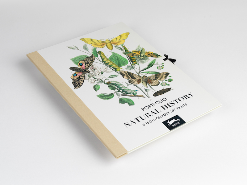 Natural History - Pepin van Roojen (ISBN 9789460092022)