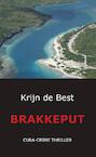 Brakkeput (e-Book) - Krijn de Best (ISBN 9789071501678)