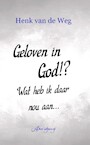 Geloven in God!? Wat heb ik daar nou aan - Henk van de Weg (ISBN 9789083228020)