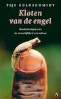 Kloten van de engel (e-Book) - Tijs Goldschmidt (ISBN 9789025364786)
