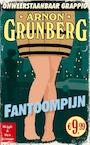 Fantoompijn - Arnon Grunberg (ISBN 9789038899909)