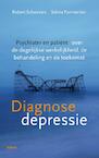 Diagnose depressie (e-Book) - Robert Schroevers, Selma Parmentier (ISBN 9789460037870)